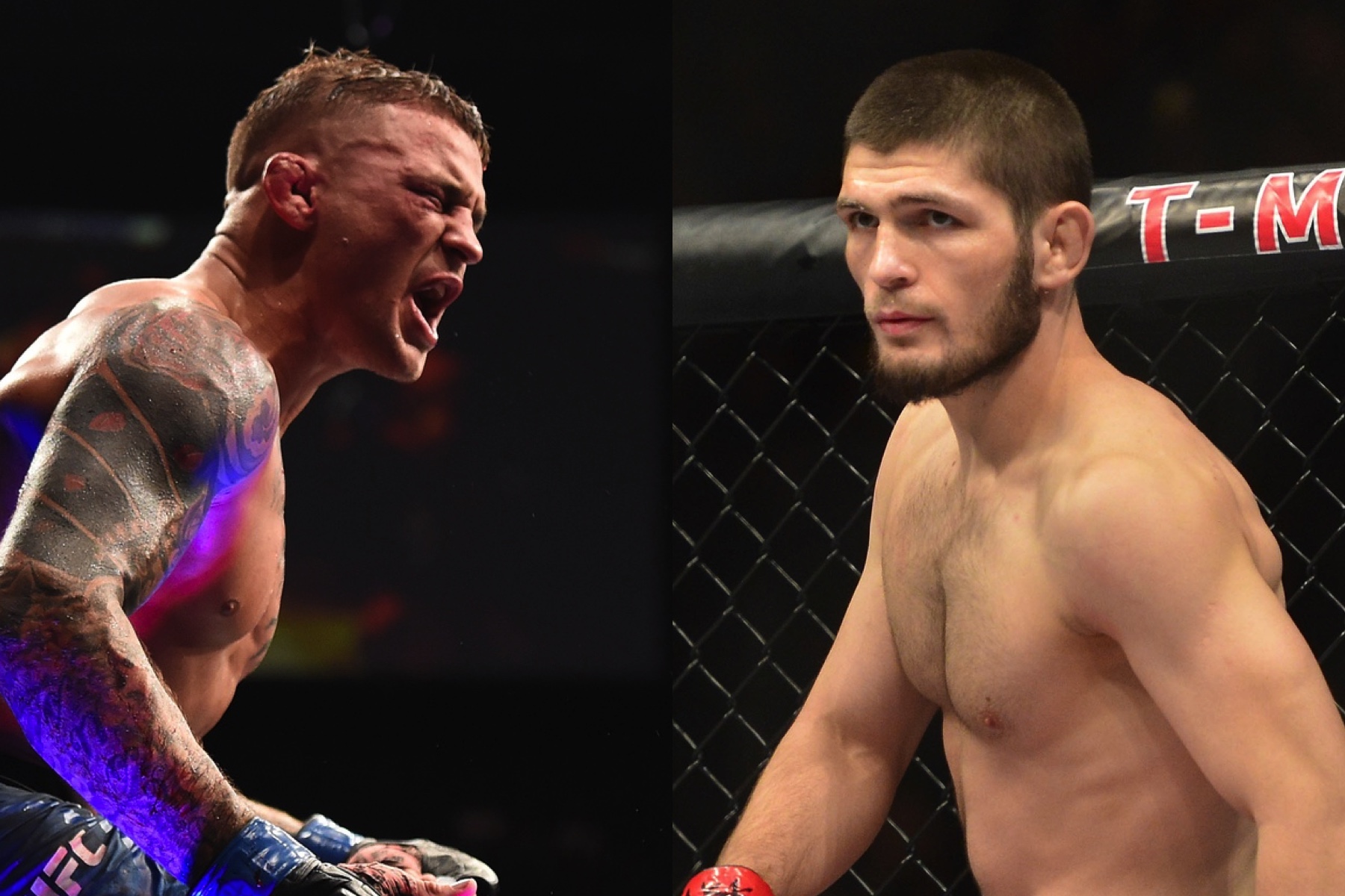 Dustin Poirier tự tin sẽ hạ gục được Khabib Nurmagomedov Dustin Poirier tự tin sẽ hạ gục được Khabib Nurmagomedov